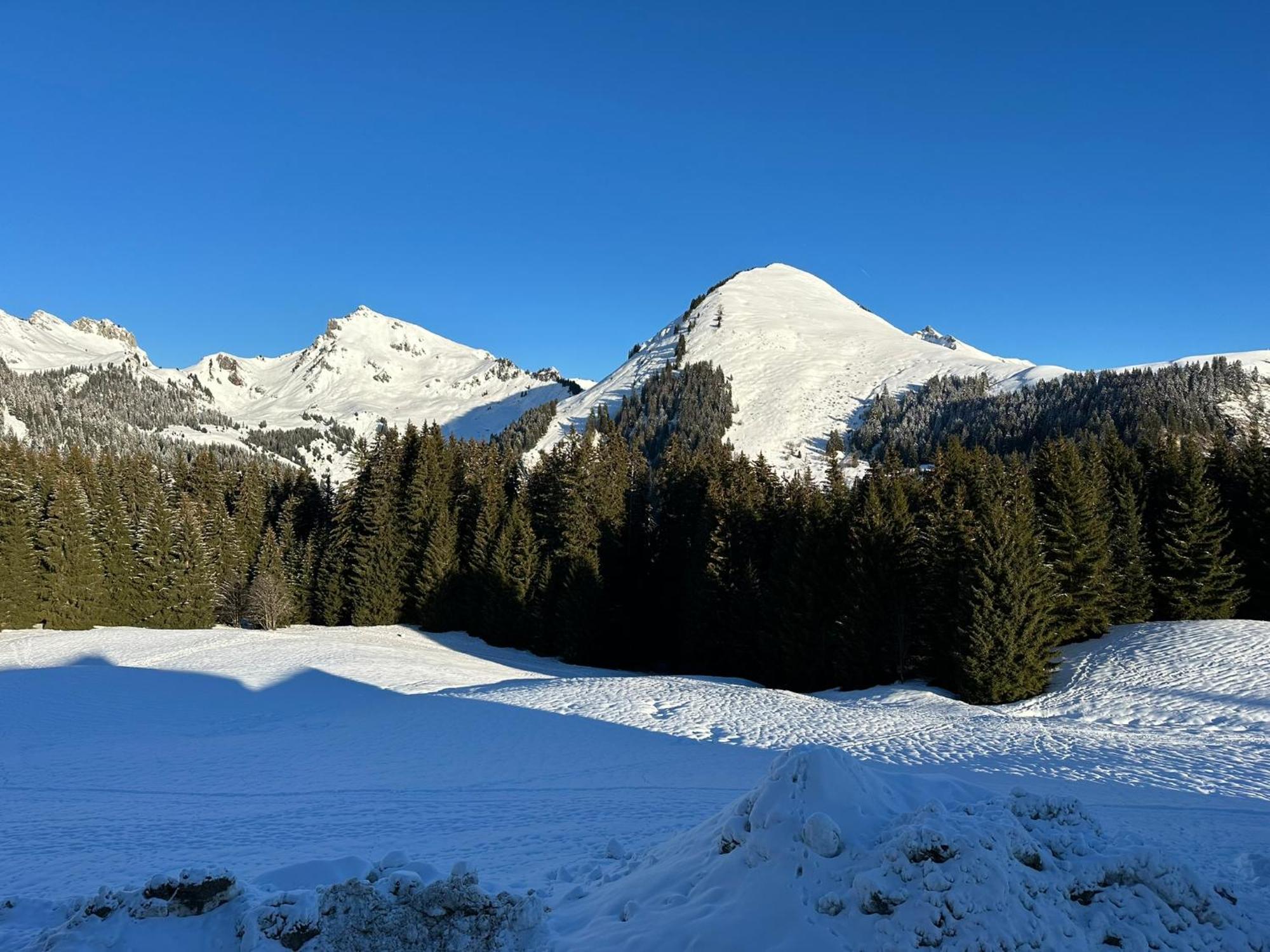 Studio Au Coeur Du Praz-De-Lys - Les Pralyssimes Ле Праз де Лис Экстерьер фото