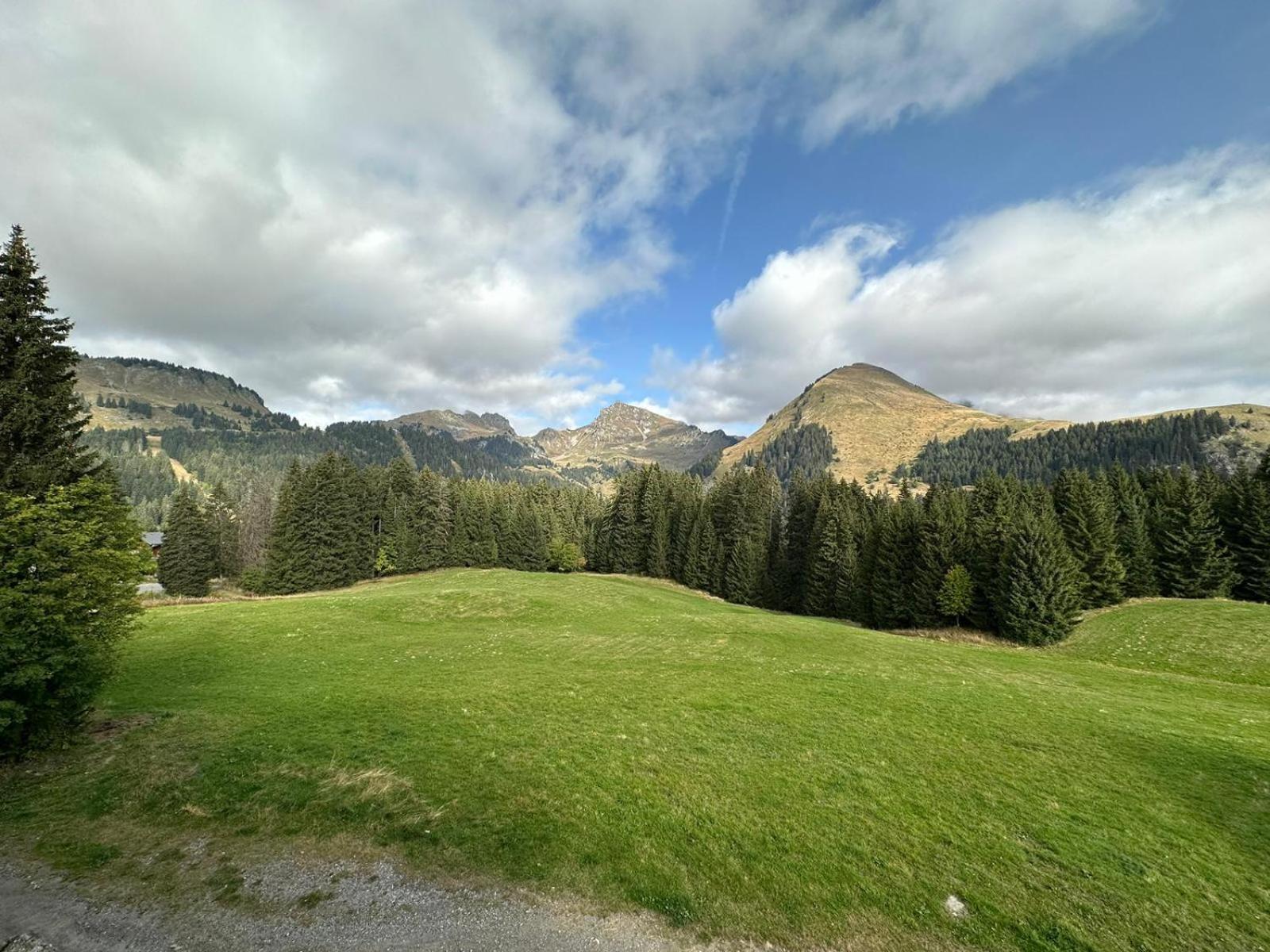 Studio Au Coeur Du Praz-De-Lys - Les Pralyssimes Ле Праз де Лис Экстерьер фото