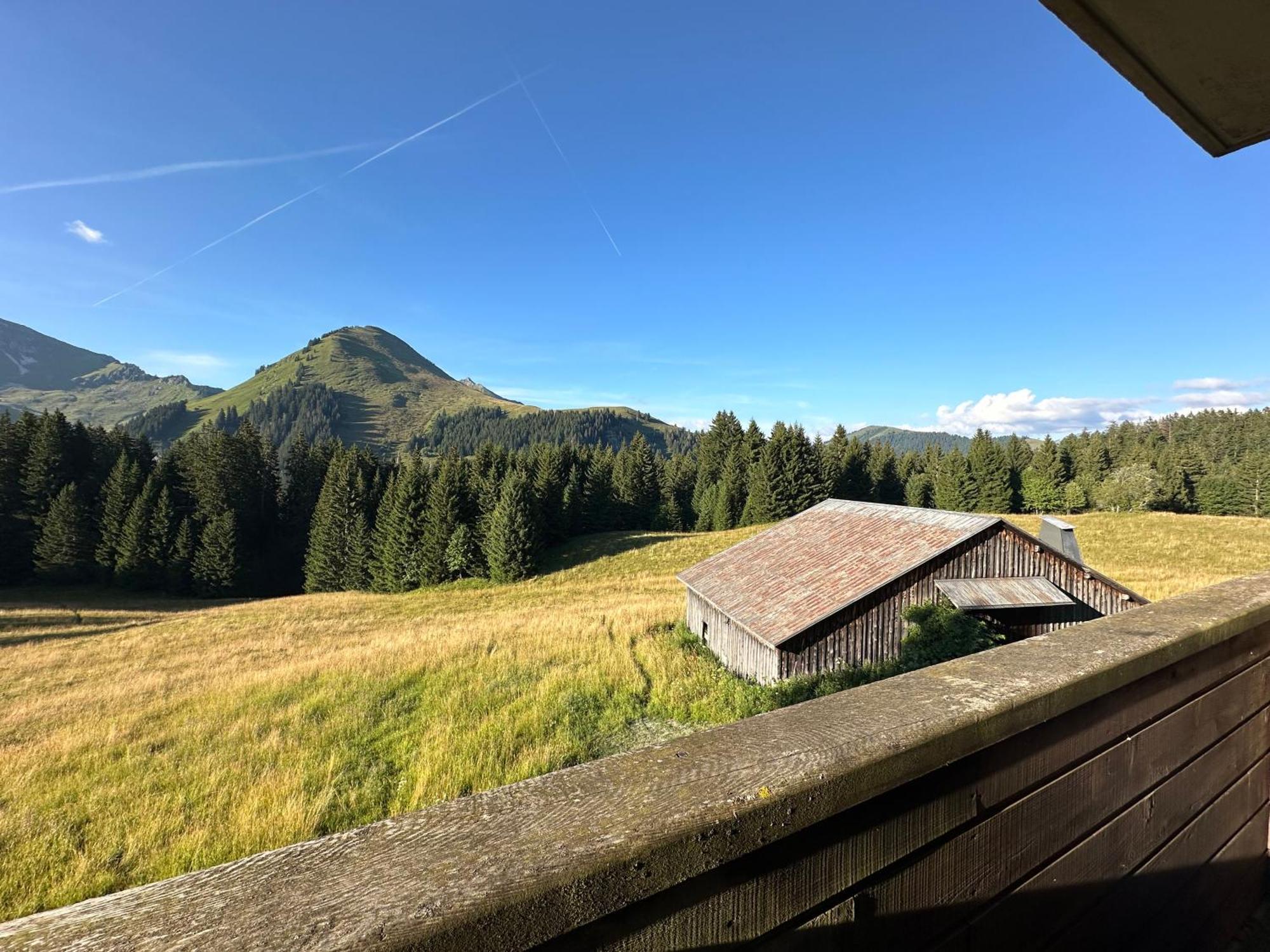 Studio Au Coeur Du Praz-De-Lys - Les Pralyssimes Ле Праз де Лис Экстерьер фото